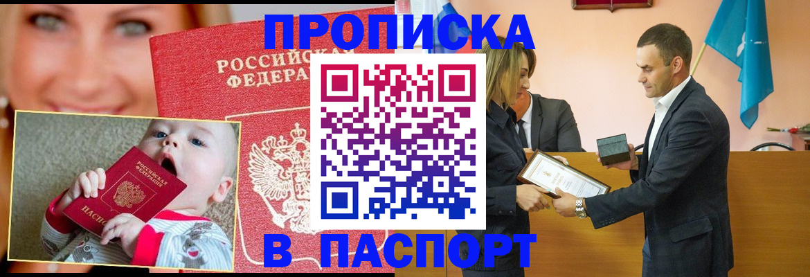 прописка поиск в Гатчине